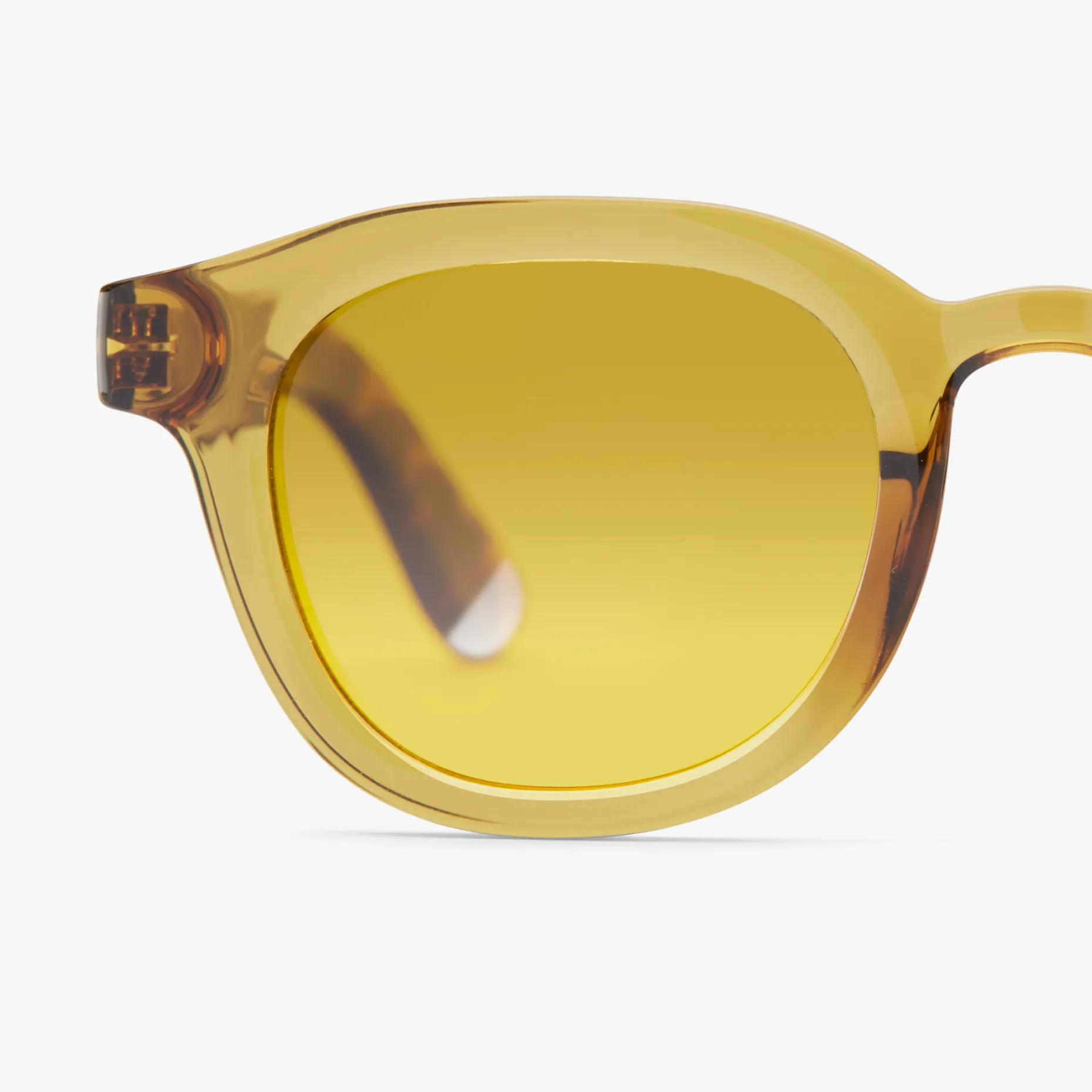 Andy Glossy Sun - Image 16