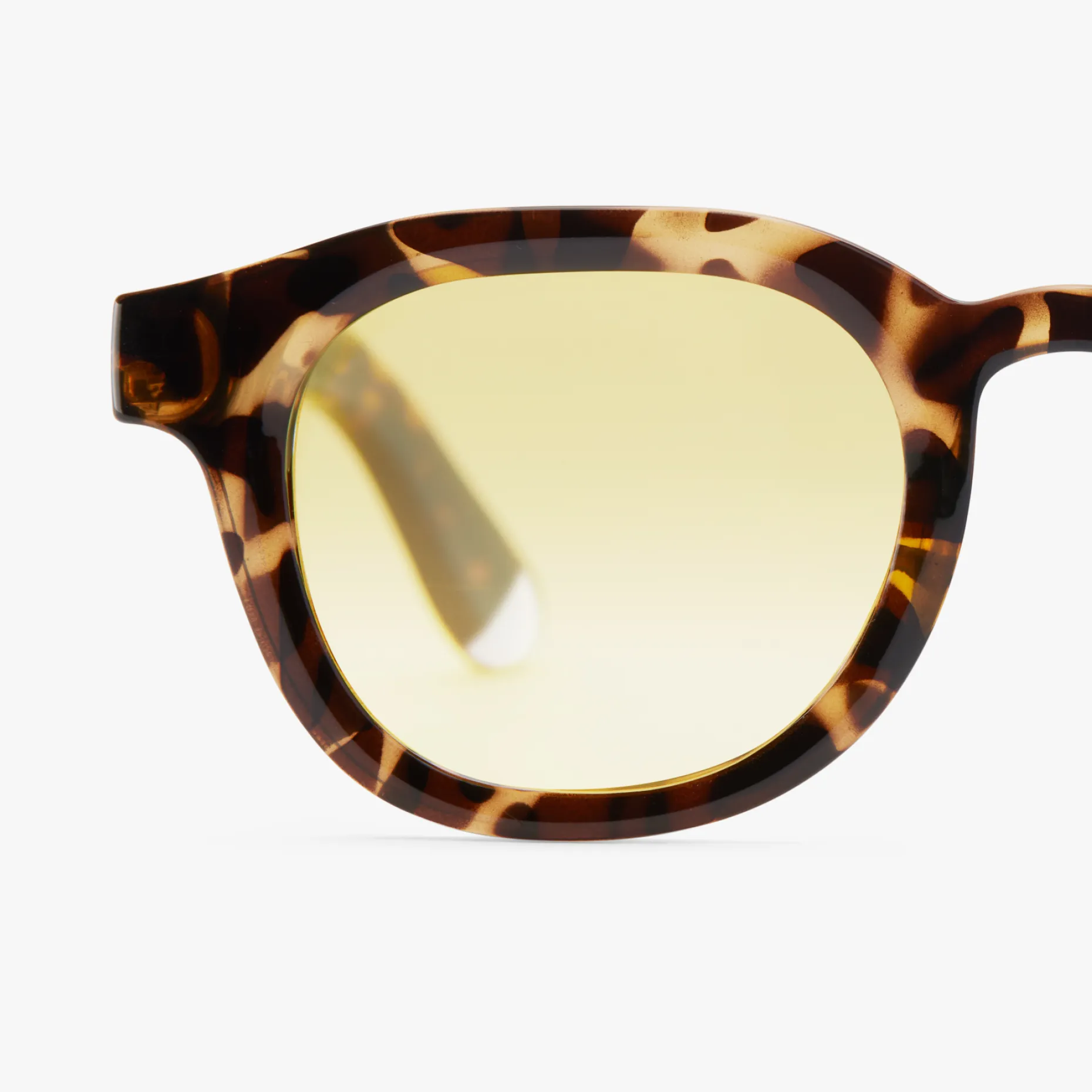 Andy Glossy Sun - Image 51