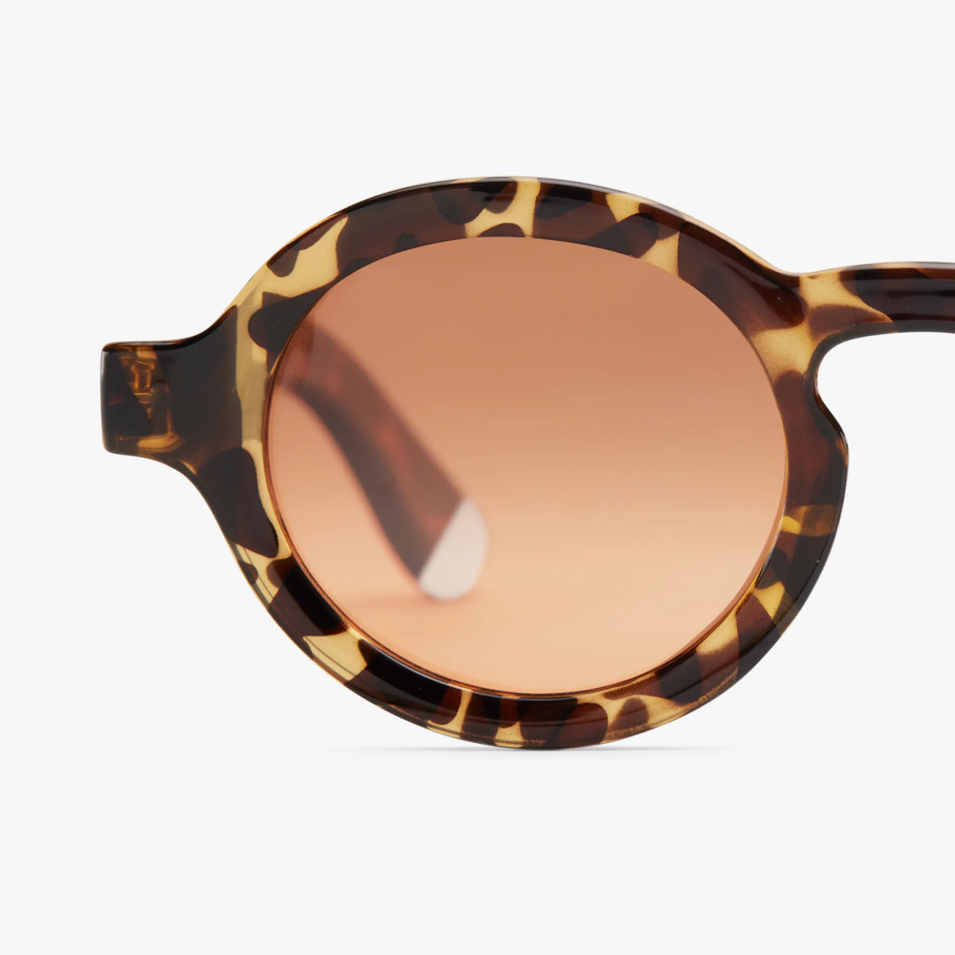 Charles Glossy Sun - Image 34