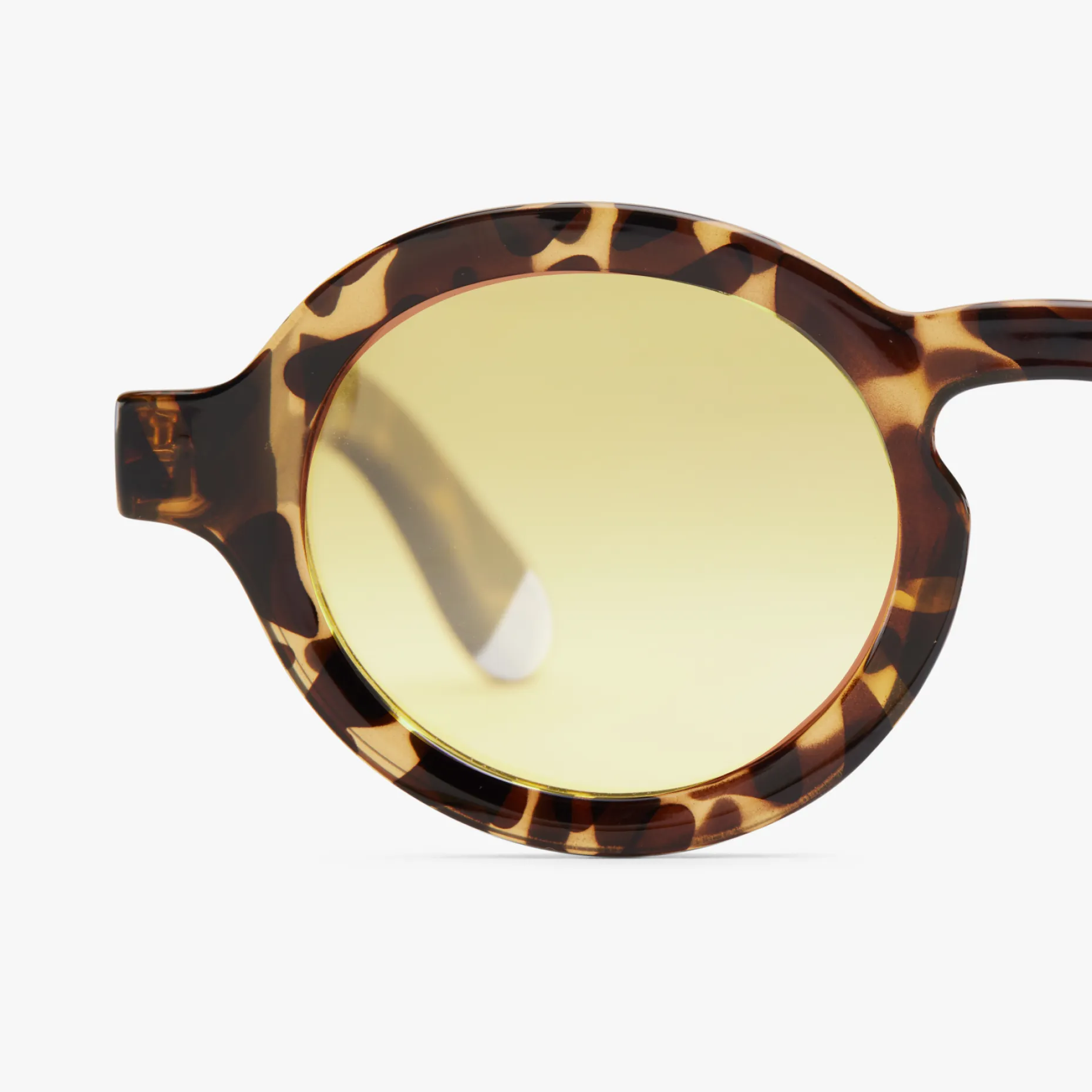 Charles Glossy Sun - Image 52