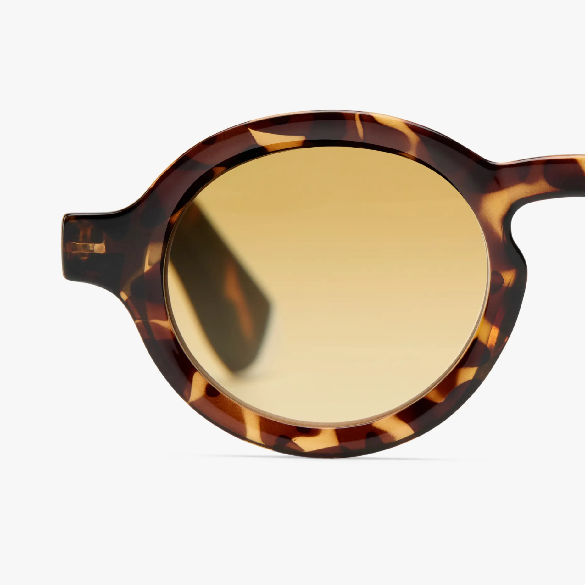 Charles Reading Sun - Image 28