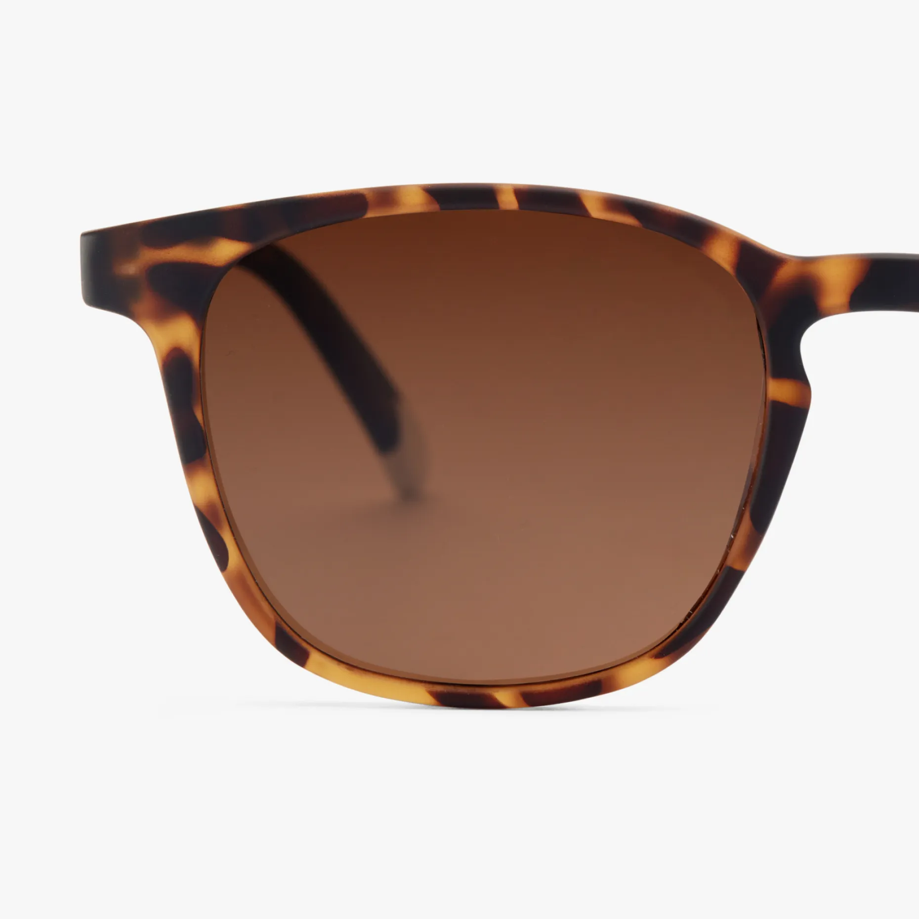 Dalston Sun - Image 22