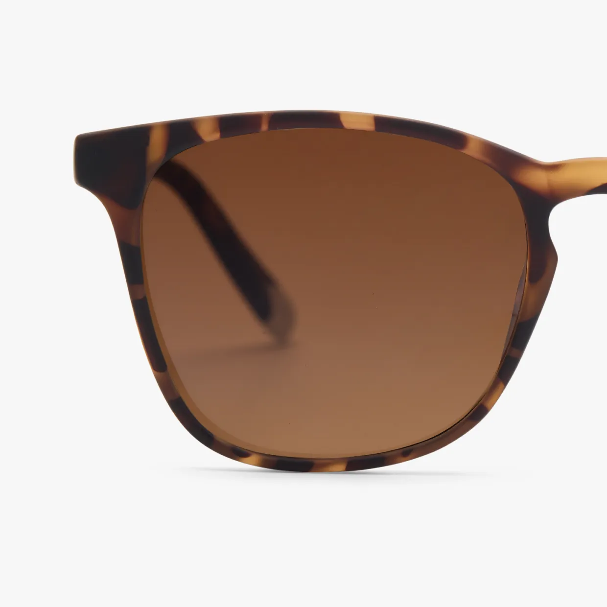 Dalston Sun Kids - Image 7