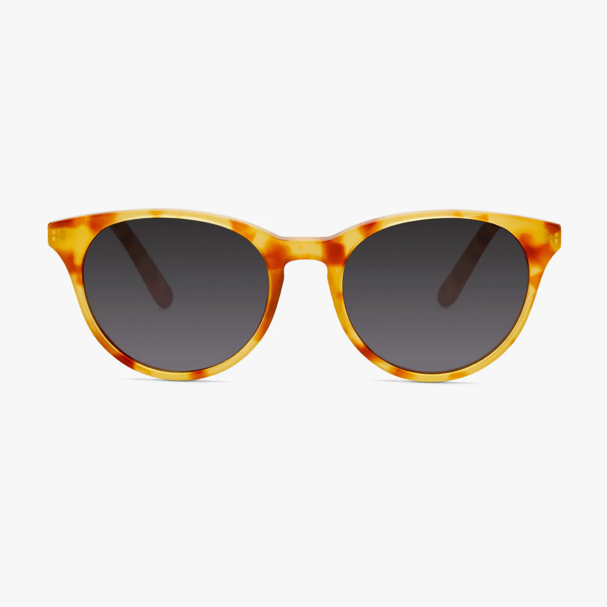 Gracia Sun - Image 13