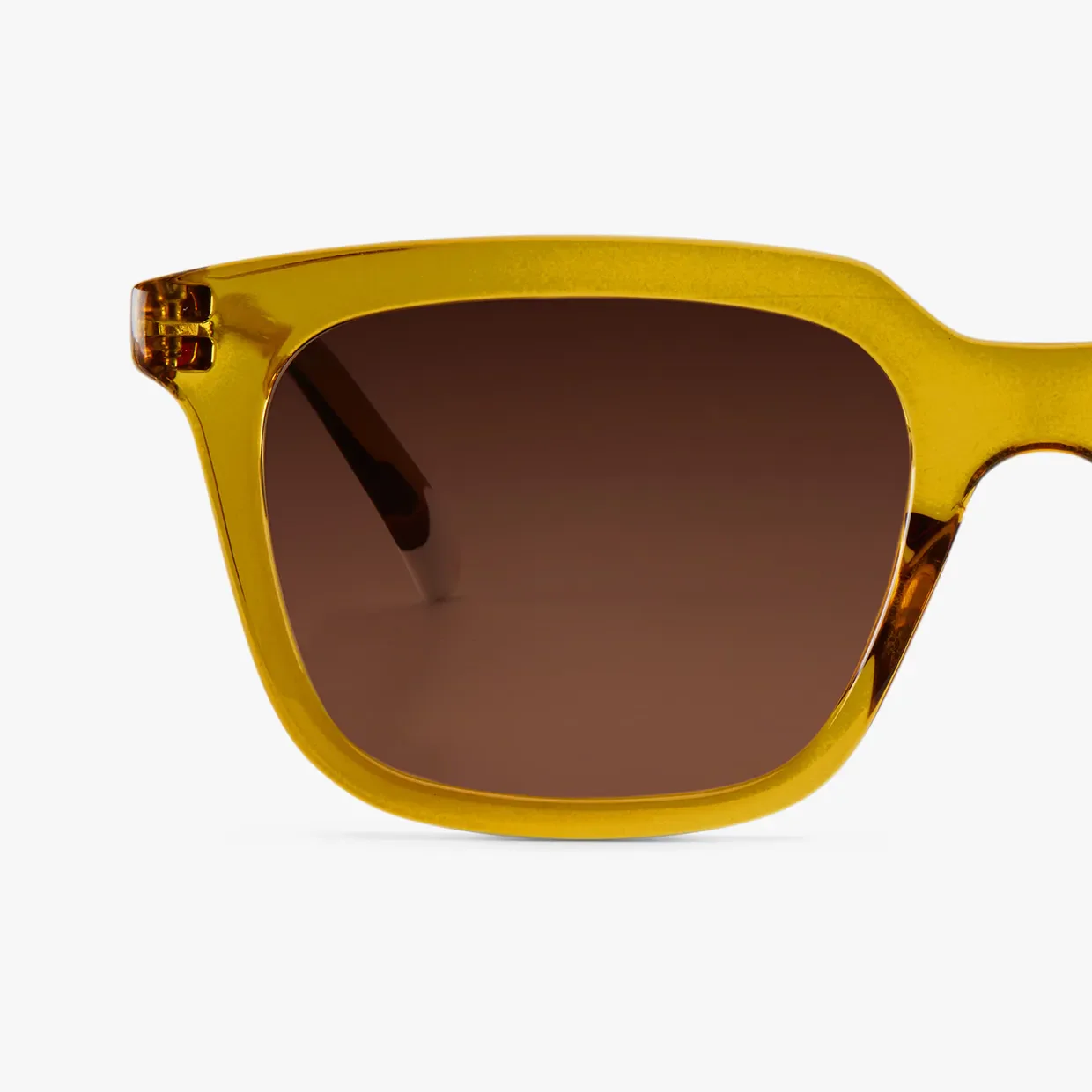 Holly Glossy Sun - Image 22