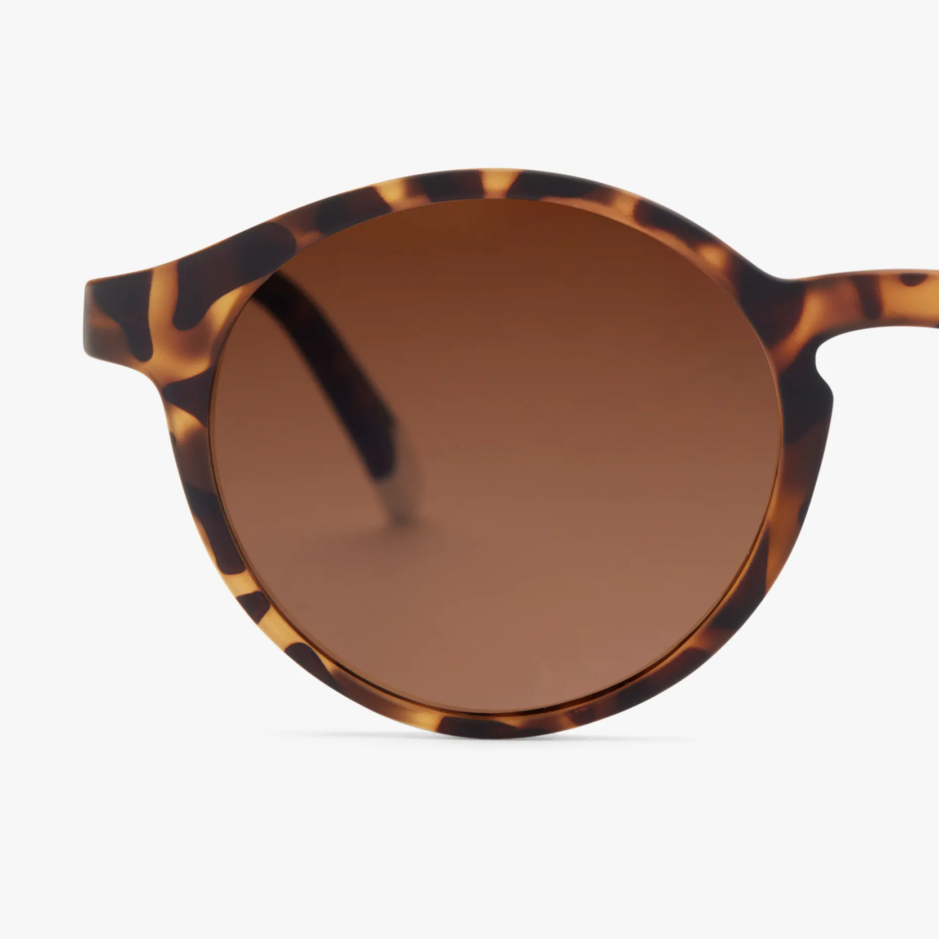 Le Marais Sun - Image 30