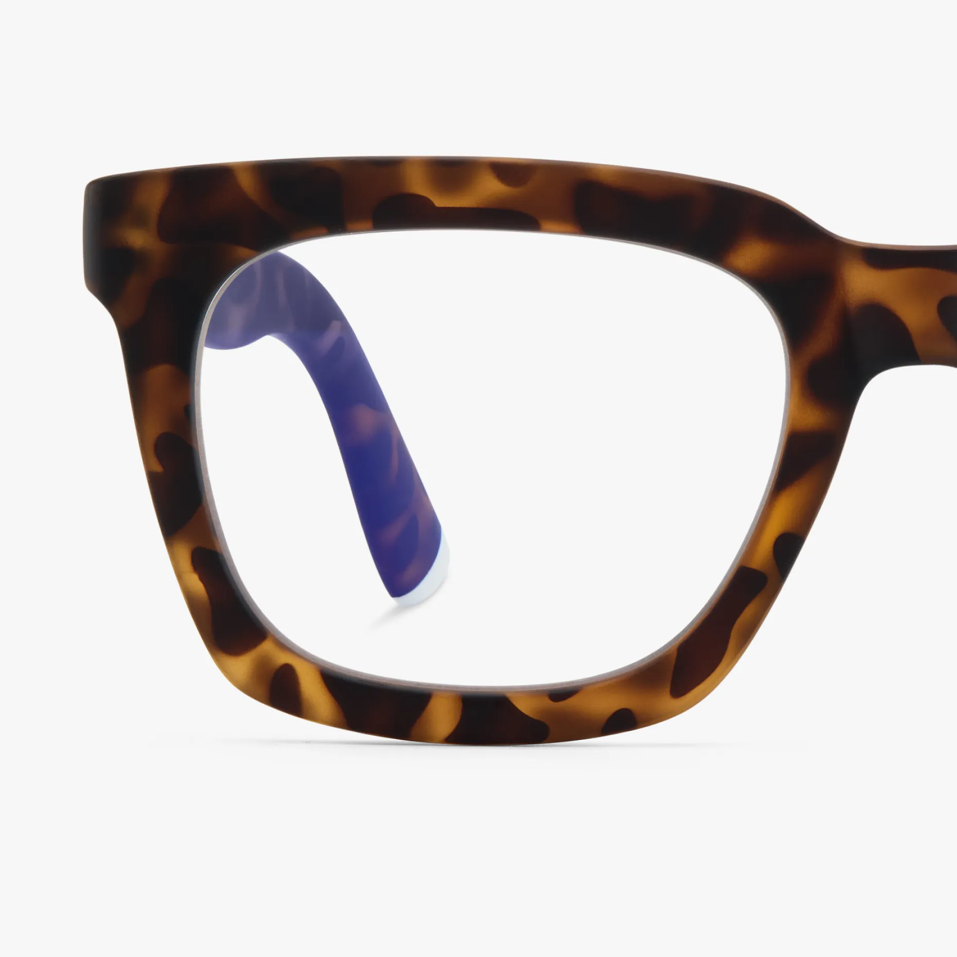 Max Matte - Image 10